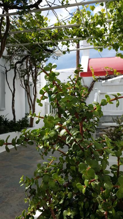 Christina Studios Mykonos Town Dış mekan fotoğraf